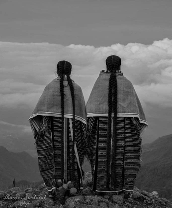 A cover of "Mexico ancestral" cluster. The owner is mon.moon. The cluster consists of 1 element.