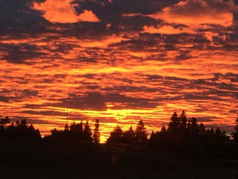 A cover of "Earth’s Canvas" cluster. The owner is crowleytheboy. The cluster consists of 61 elements.