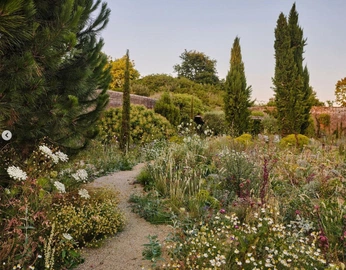 A cover of "Ogród" cluster. The owner is janekp. The cluster consists of 5 elements.