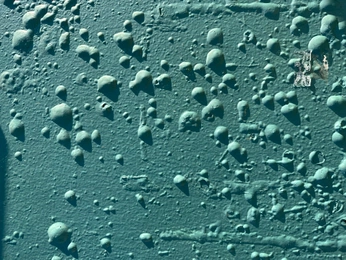 A cover of "Vibes" cluster. The owner is reinerinprint. The cluster consists of 6 elements.