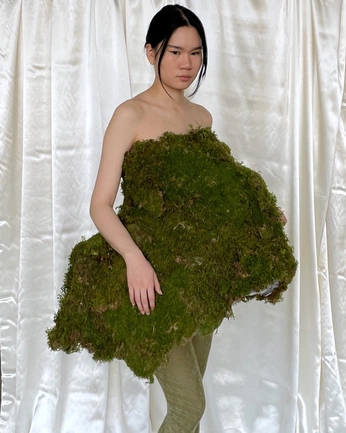 A cover of "Nature inspired clothes" cluster. The owner is sebmoru. The cluster consists of 48 elements.