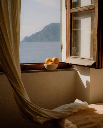 A cover of "Lifestyle" cluster. The owner is meganmccluer. The cluster consists of 20 elements.