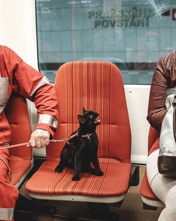 A cover of "IG" cluster. The owner is ciaravesely. The cluster consists of 1 element.