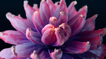 A cover of "Houdini" cluster. The owner is lrt.3d. The cluster consists of 2 elements.