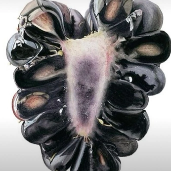 A cover of "juice" cluster. The owner is alexajoy. The cluster consists of 9 elements.