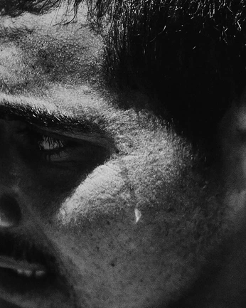 A cover of "TRT" cluster. The owner is matrobledo. The cluster consists of 9 elements.