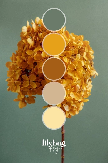 A cover of "Palette" cluster. The owner is kormadrag. The cluster consists of 15 elements.