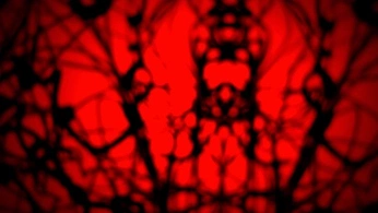 A cover of "immagini religione" cluster. The owner is marla22. The cluster consists of 153 elements.