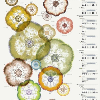 A cover of "new Ủ 2025" cluster. The owner is hmmmmmmmm. The cluster consists of 133 elements.