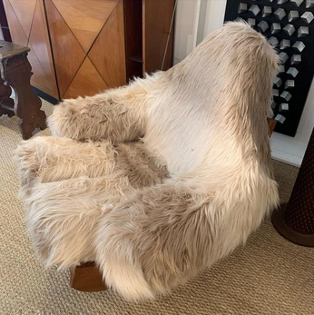 A cover of "Interior Goals" cluster. The owner is ingeschipper. The cluster consists of 23 elements.