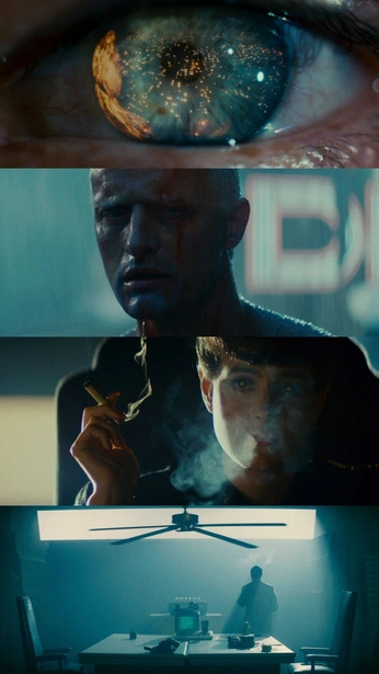 A cover of "movies/tv shows" cluster. The owner is eviltelevision. The cluster consists of 40 elements.