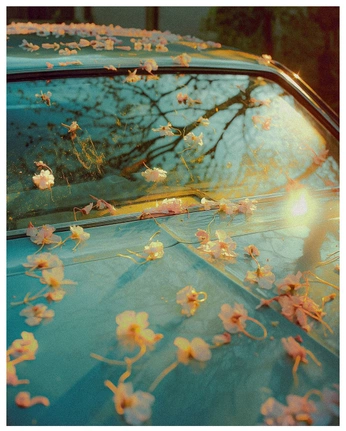 A cover of "PHOTOGRAPHY APPRECIATION" cluster. The owner is catherinerandall. The cluster consists of 1 element.