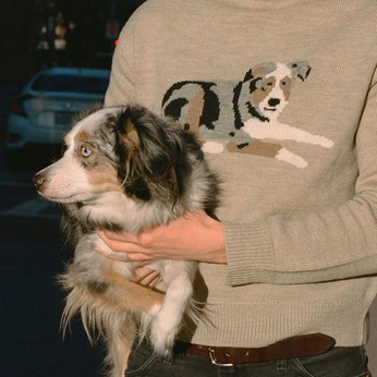 A cover of "My kind of fall." cluster. The owner is orchid.j. The cluster consists of 34 elements.