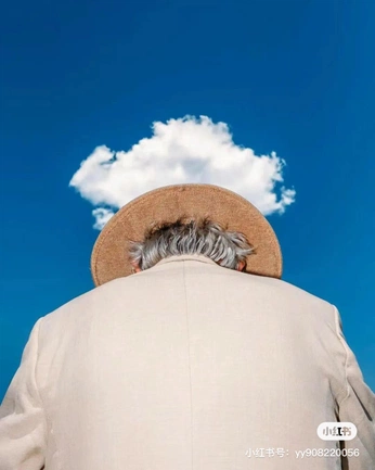 A cover of "FILM - A MARGEM" cluster. The owner is xntzz. The cluster consists of 4 elements.