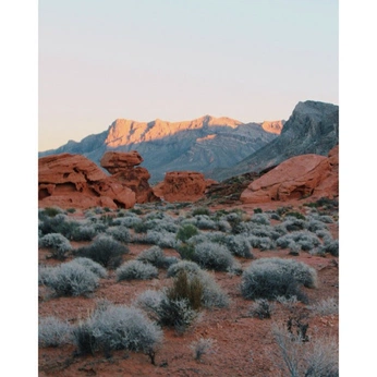 A cover of "Readymag moodboard" cluster. The owner is acdesigns. The cluster consists of 9 elements.