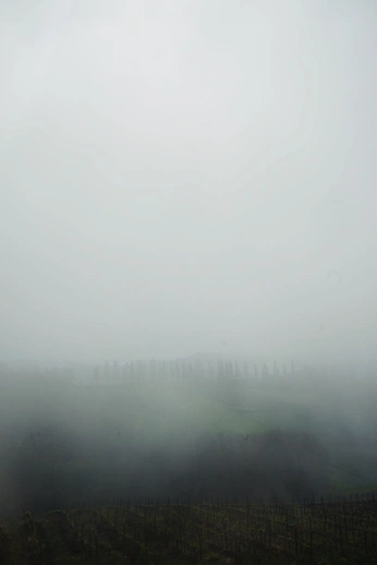 A cover of "Hand in Hand Video" cluster. The owner is noradunkelblau. The cluster consists of 17 elements.