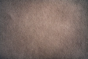 Freddie Garner avatar