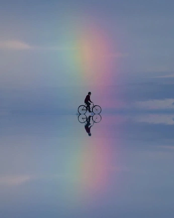 A cover of "Bio" cluster. The owner is abigaileir. The cluster consists of 6 elements.