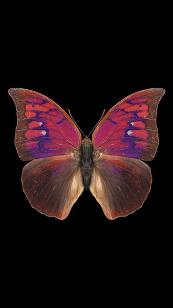 A cover of "Artsy Inspo" cluster. The owner is nonamehoodie. The cluster consists of 18 elements.