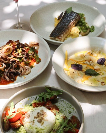 A cover of "Fauna" cluster. The owner is jhomar.co. The cluster consists of 2 elements.