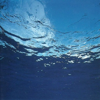 A cover of "content" cluster. The owner is romanbeno. The cluster description is "portraits and nudes, environment, films and shots, art and personality". The cluster consists of 40 elements.