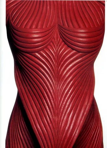 A cover of "Thierry Mugler" cluster. The owner is diego.sahhar. The cluster consists of 21 elements.