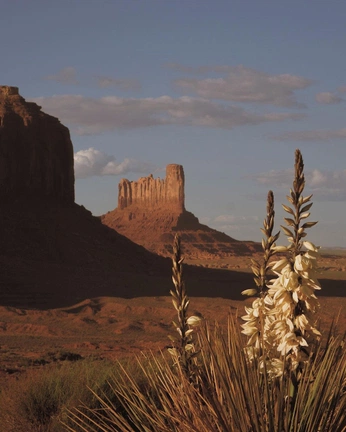 A cover of "The Southwest" cluster. The owner is aawoza. The cluster consists of 24 elements.
