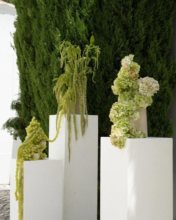 A cover of "green" cluster. The owner is iammi. The cluster consists of 11 elements.