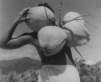 A cover of "Photo" cluster. The owner is sarapalms. The cluster consists of 12 elements.