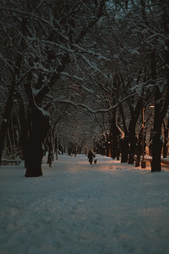 A cover of "walk + snow" cluster. The owner is linneaa. The cluster consists of 2 elements.