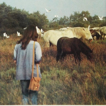 A cover of "brand identity I" cluster. The owner is ashleypalmer. The cluster consists of 21 elements.