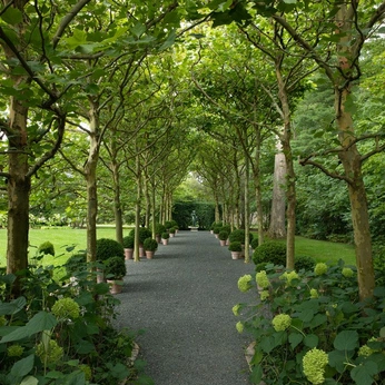 A cover of "gardens" cluster. The owner is ellalsan. The cluster consists of 490 elements.