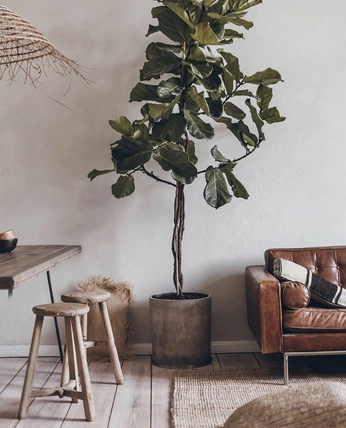 A cover of "Overall Decor" cluster. The owner is sgray. The cluster consists of 4 elements.