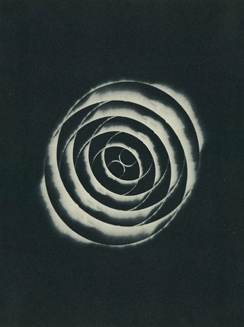 A cover of "HIBRIDATIONNN" cluster. The owner is albaperezh03. The cluster consists of 206 elements.