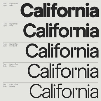 A cover of "Type" cluster. The owner is lazar01. The cluster consists of 107 elements.