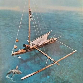 A cover of "EARTHLINGS" cluster. The owner is mariasdval. The cluster consists of 11 elements.