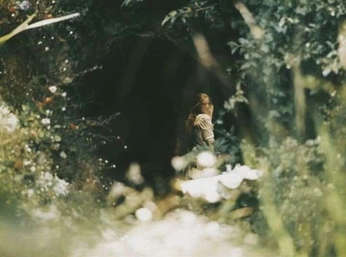 A cover of "Whimsy" cluster. The owner is nthegentlestgirl. The cluster consists of 7 elements.