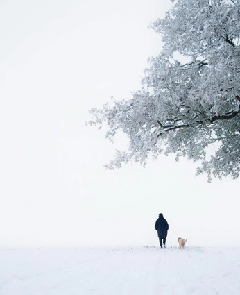 A cover of "winter" cluster. The owner is sylviahouben. The cluster consists of 7 elements.