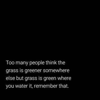 A cover of "Quotes" cluster. The owner is chellldog. The cluster consists of 34 elements.