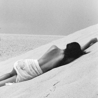 A cover of "sonder" cluster. The owner is danaerose. The cluster consists of 146 elements.