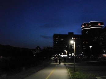 A cover of "Empty City" cluster. The owner is sheepparsley. The cluster consists of 41 elements.