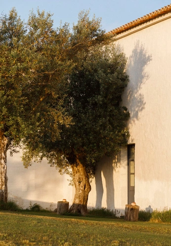 A cover of "aesthetic" cluster. The owner is cosmosyuna. The cluster consists of 6 elements.