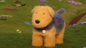 A cover of "soft" cluster. The owner is jackie13jk. The cluster consists of 73 elements.