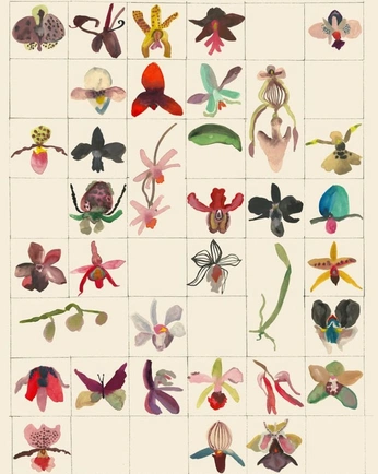A cover of "Musee de beaux arts" cluster. The owner is charalexander. The cluster consists of 12 elements.