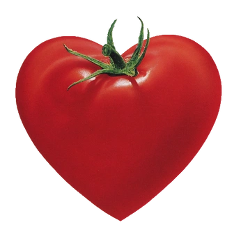 A cover of "☎️" cluster. The owner is louisaa. The cluster consists of 14 elements.