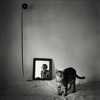 A cover of "Misc Art" cluster. The owner is yongc. The cluster consists of 8 elements.