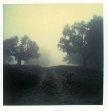 A cover of "aesthetics" cluster. The owner is carmennn. The cluster consists of 4 elements.