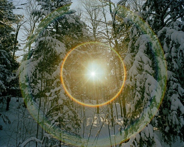 An image added by cynthia01 on Feb 19, 2023. May present: sunlight, grass, sky, natural landscape, world.