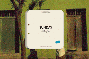 A cover of "Morph" cluster. The owner is balqui. The cluster consists of 4 elements.