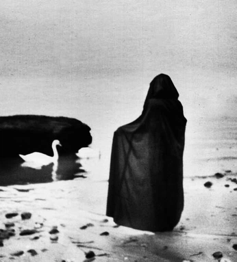 A cover of "Femenine" cluster. The owner is marianamibia. The cluster consists of 1 element.